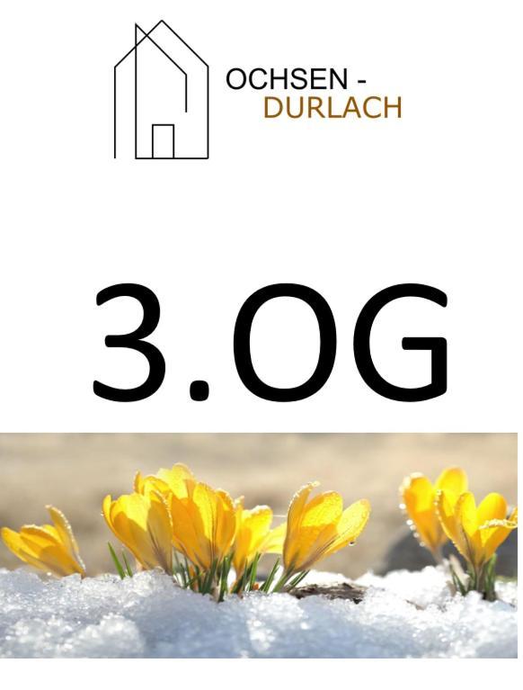 Ochsen-Durlach Karlsruhe Ruang foto