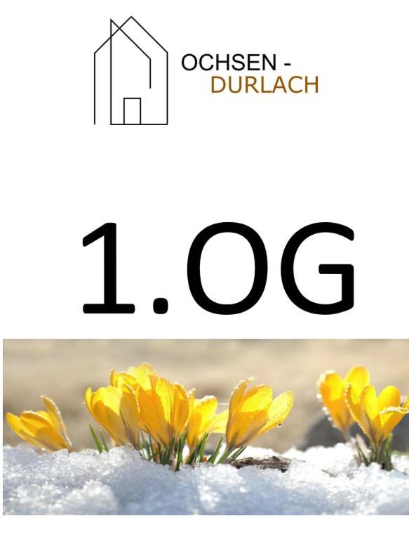 Ochsen-Durlach Karlsruhe Bagian luar foto